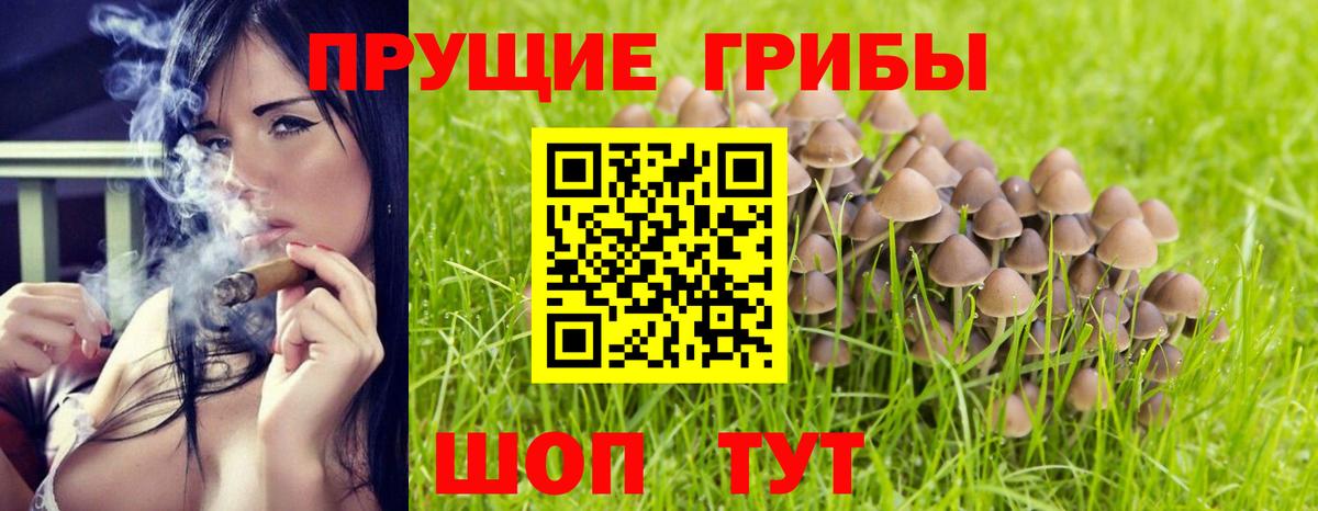 где продают наркотики  Галлюциногенные грибы прущие грибы  Вход с VPN  Казань  Псилоцибиновые грибы Magic Shrooms 